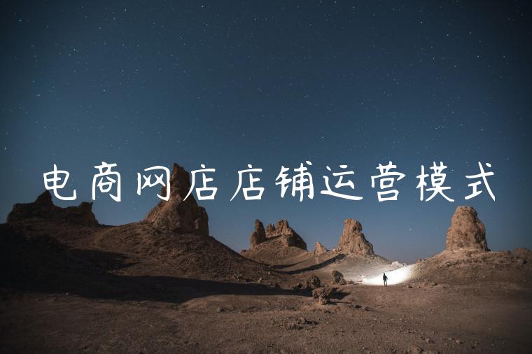 电商网店店铺运营模式