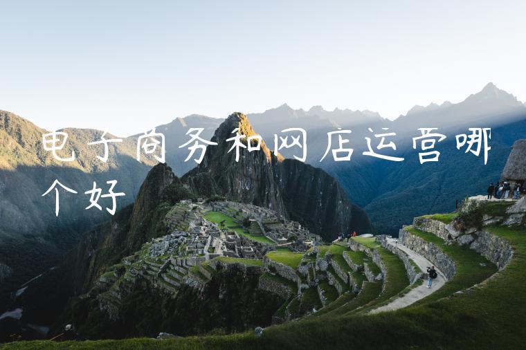 电子商务和网店运营哪个好 电子商务和网店运营哪个好
