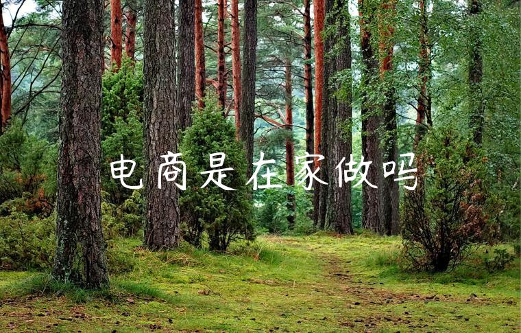电商是在家做吗