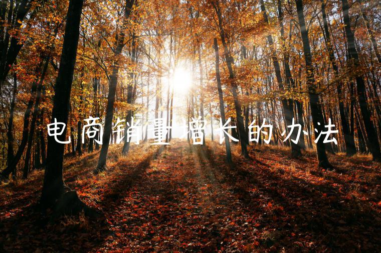 电商销量增长的办法