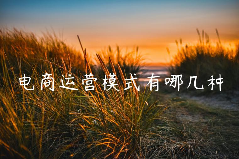 电商运营模式有哪几种 电商运营模式有哪几种