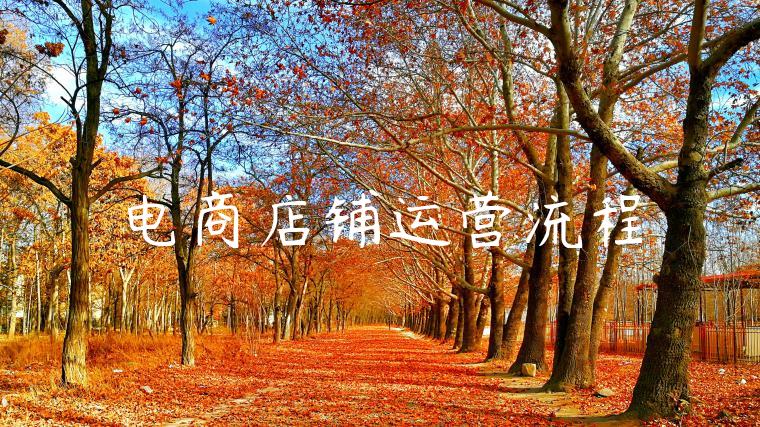 电商店铺运营流程