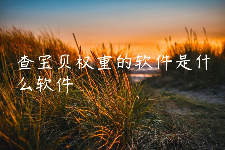 查宝贝权重的软件是什么软件 查宝贝权重的软件是什么软件