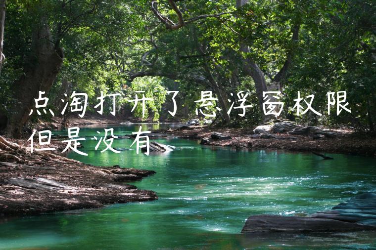 点淘打开了悬浮窗权限但是没有