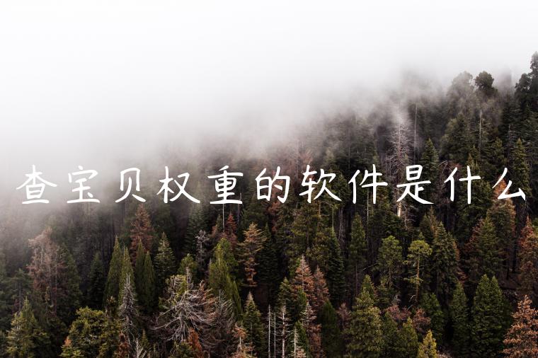 查宝贝权重的软件是什么