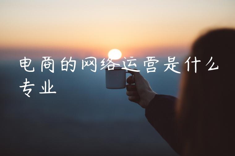 电商的网络运营是什么专业