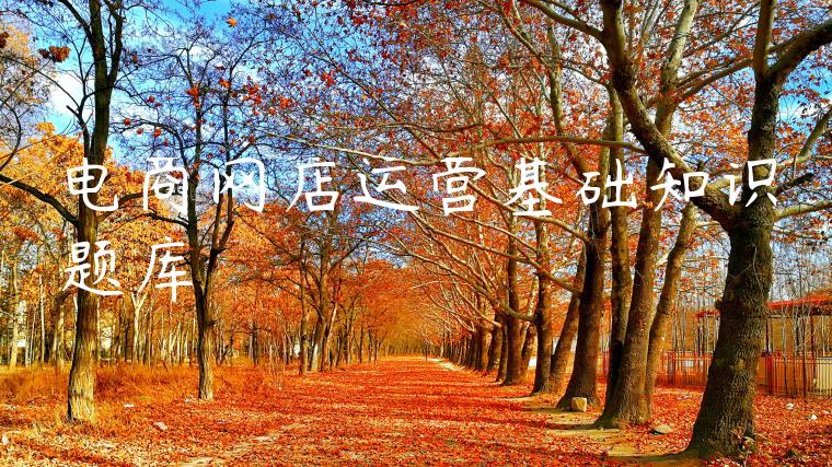 电商网店运营基础知识题库