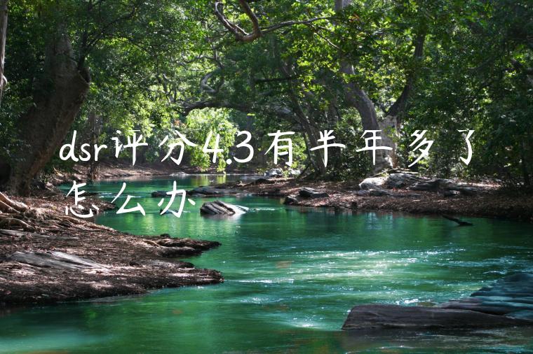 dsr评分4.3有半年多了怎么办