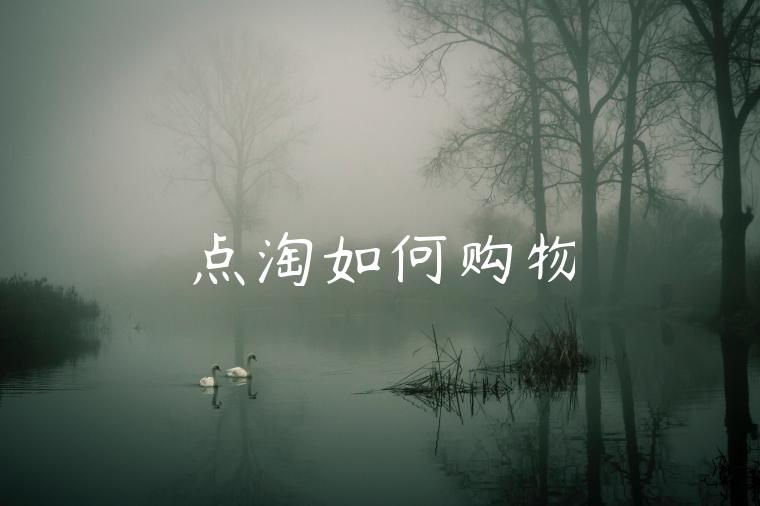 点淘如何购物