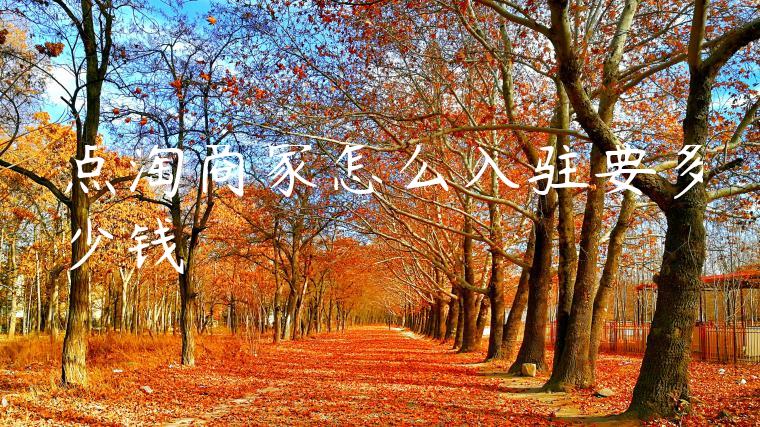 点淘商家怎么入驻要多少钱 点淘商家怎么入驻要多少钱