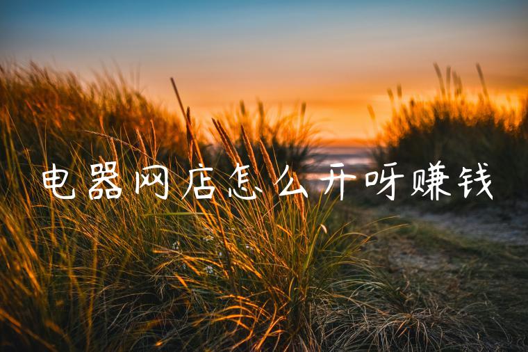电器网店怎么开呀赚钱