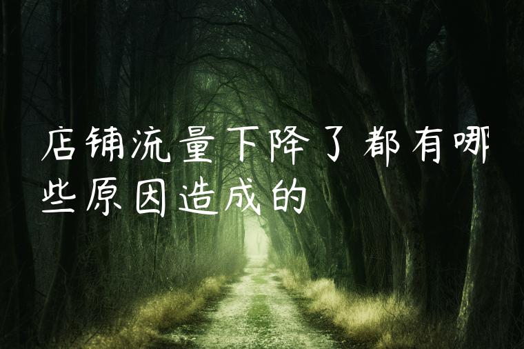 店铺流量下降了都有哪些原因造成的
