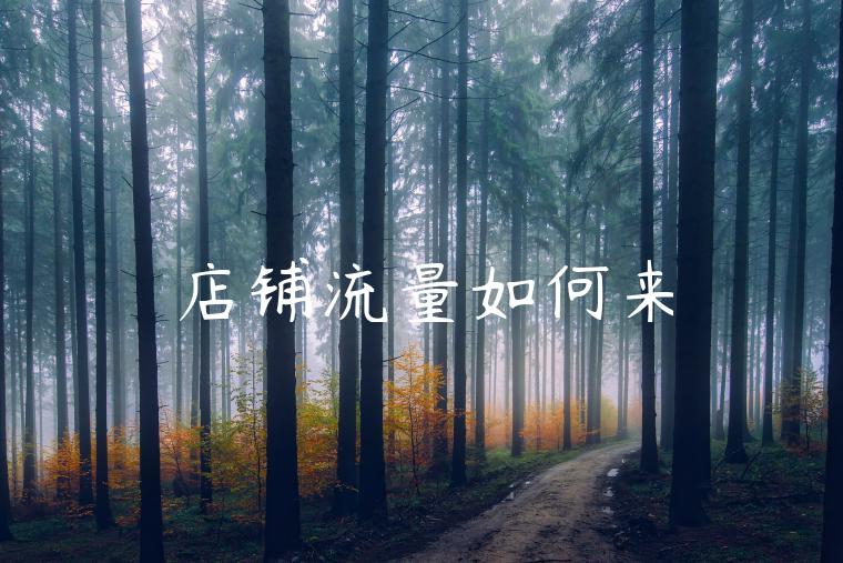 店铺流量如何来