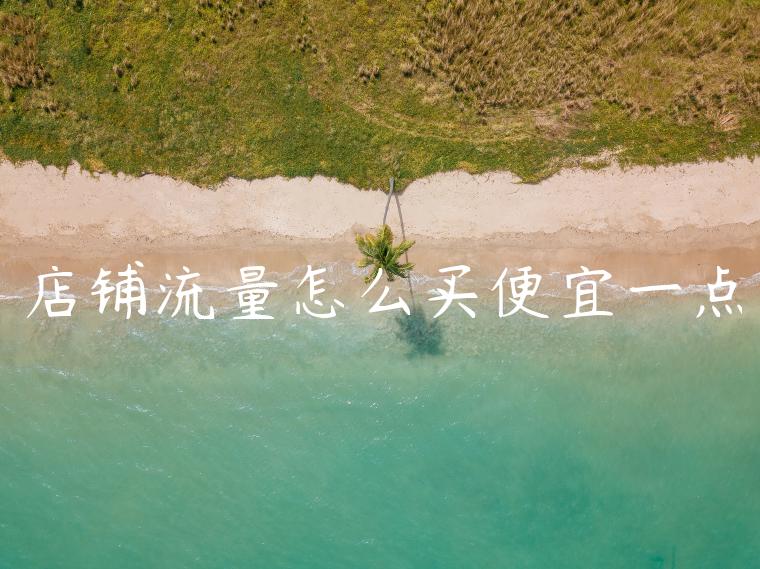 店铺流量怎么买便宜一点