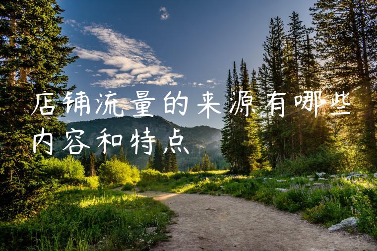 店铺流量的来源有哪些内容和特点 店铺流量的来源有哪些内容和特点