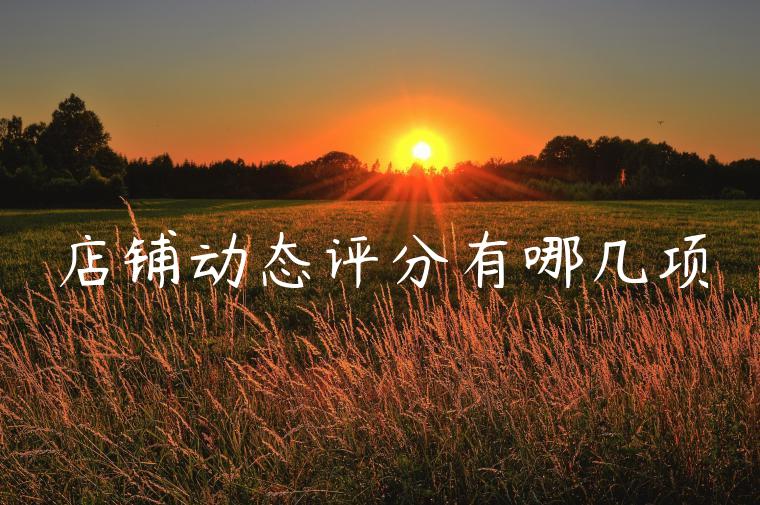 店铺动态评分有哪几项