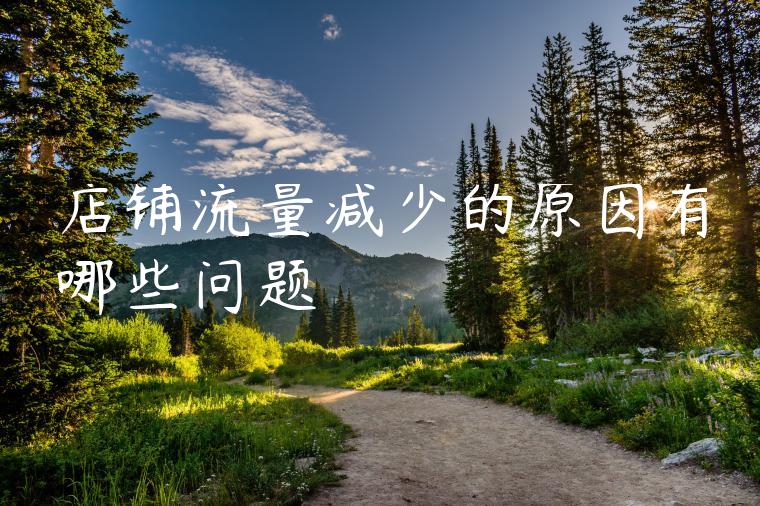 店铺流量减少的原因有哪些问题