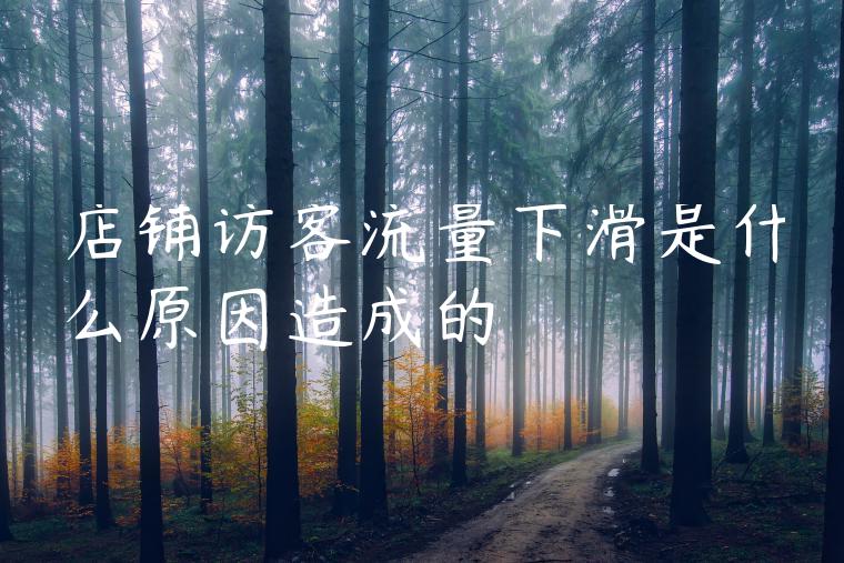 店铺访客流量下滑是什么原因造成的