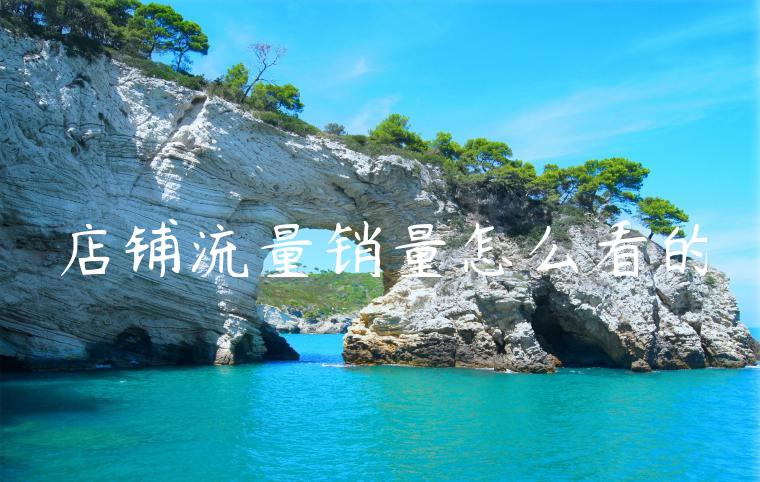 店铺流量销量怎么看的