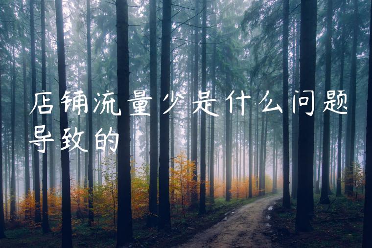 店铺流量少是什么问题导致的 店铺流量少是什么问题导致的