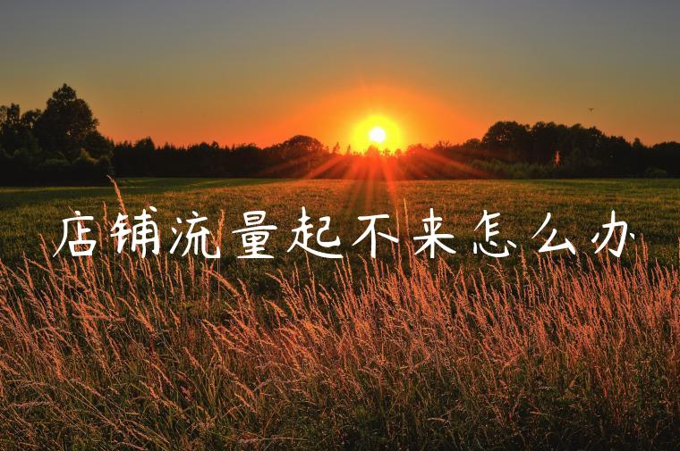 店铺流量起不来怎么办 店铺流量起不来怎么办