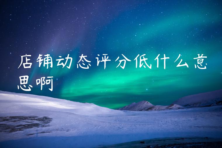 店铺动态评分低什么意思啊