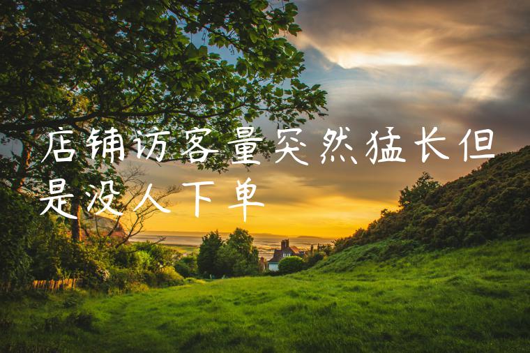 店铺访客量突然猛长但是没人下单 店铺访客量突然猛长但是没人下单