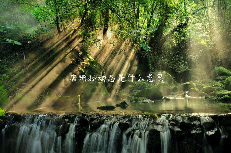 店铺dsr动态是什么意思