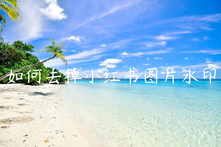 如何去掉小红书图片水印 如何去掉小红书图片水印
