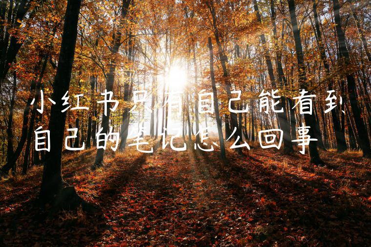 小红书只有自己能看到自己的笔记怎么回事