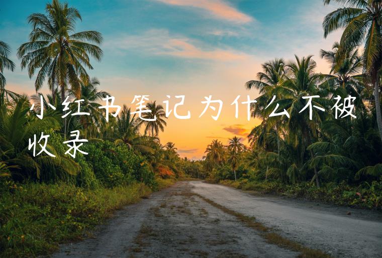 小红书笔记为什么不被收录 小红书笔记为什么不被收录