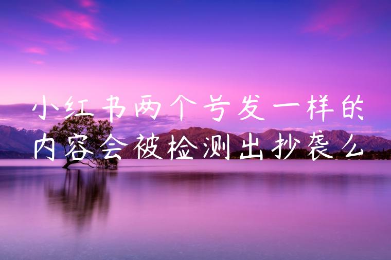 小红书两个号发一样的内容会被检测出抄袭么 小红书两个号发一样的内容会被检测出抄袭么