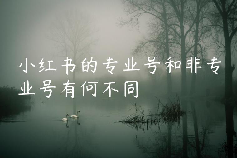 小红书的专业号和非专业号有何不同 小红书的专业号和非专业号有何不同