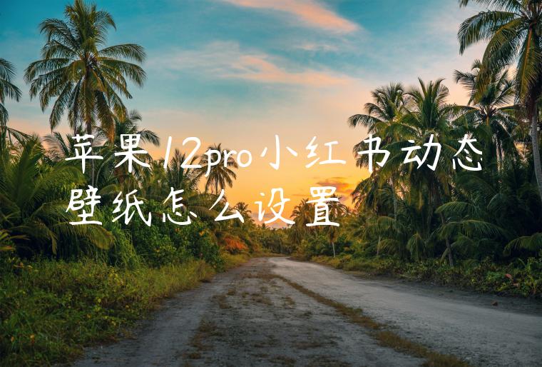 苹果12pro小红书动态壁纸怎么设置