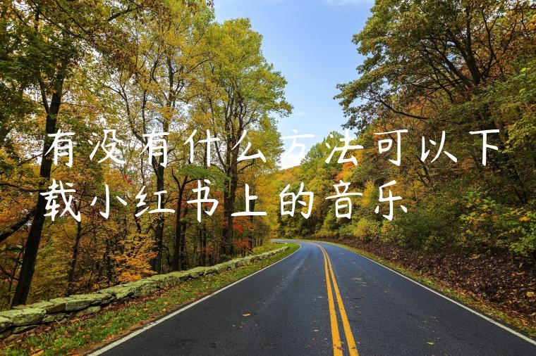有没有什么方法可以下载小红书上的音乐 有没有什么方法可以下载小红书上的音乐