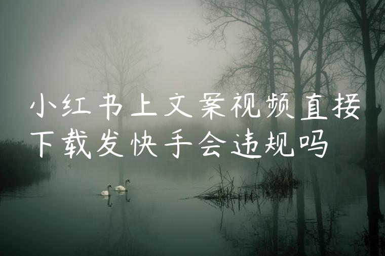 小红书上文案视频直接下载发快手会违规吗 小红书上文案视频直接下载发快手会违规吗