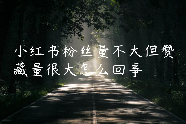 小红书粉丝量不大但赞藏量很大怎么回事