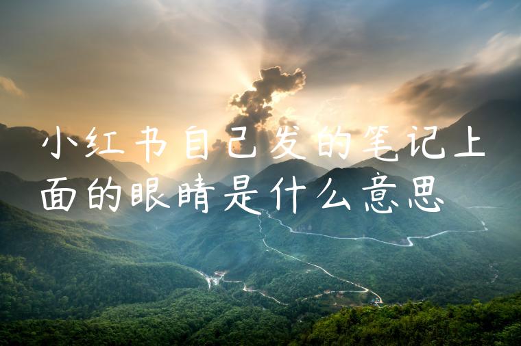 小红书自己发的笔记上面的眼睛是什么意思