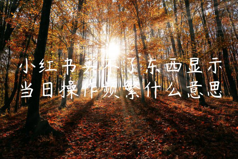 小红书买不了东西显示当日操作频繁什么意思