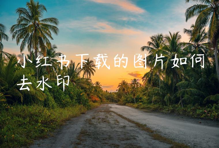 小红书下载的图片如何去水印 小红书下载的图片如何去水印