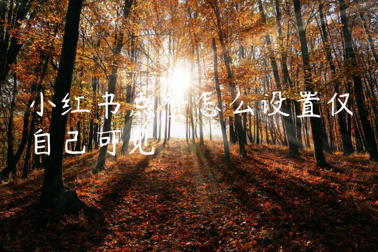 小红书点赞怎么设置仅自己可见