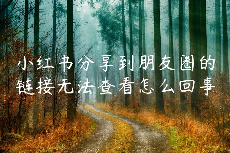 小红书分享到朋友圈的链接无法查看怎么回事