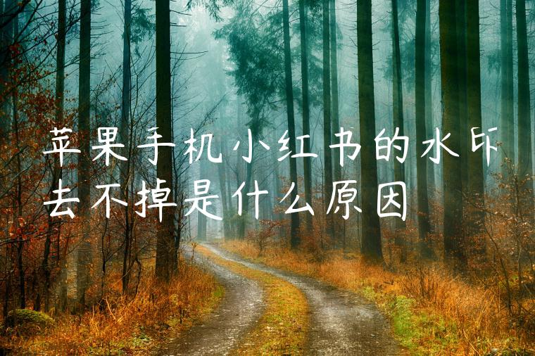 苹果手机小红书的水印去不掉是什么原因 苹果手机小红书的水印去不掉是什么原因
