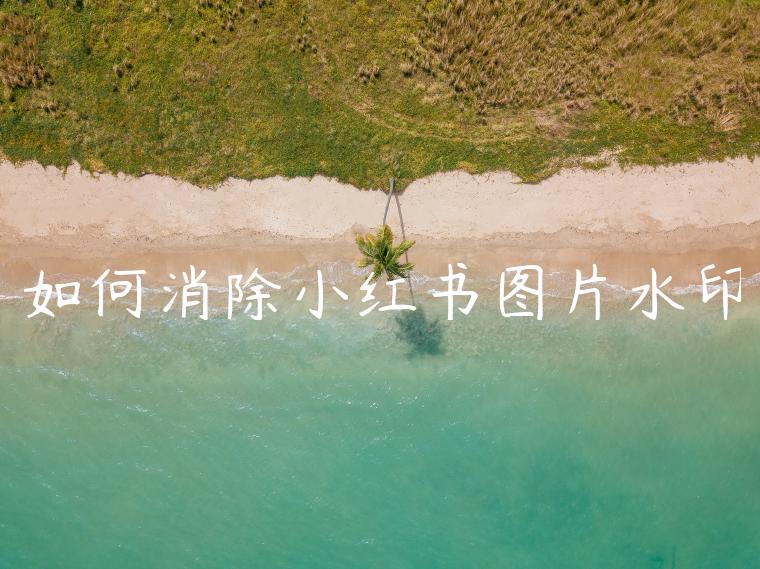 如何消除小红书图片水印