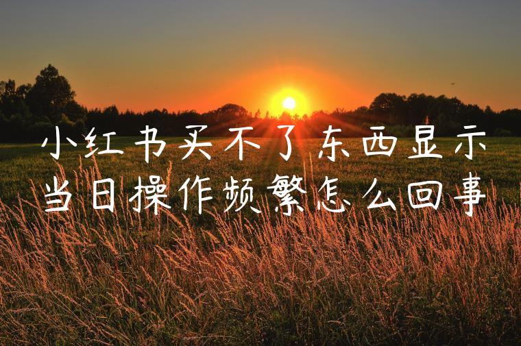 小红书买不了东西显示当日操作频繁怎么回事 小红书买不了东西显示当日操作频繁怎么回事