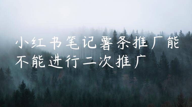 小红书笔记薯条推广能不能进行二次推广