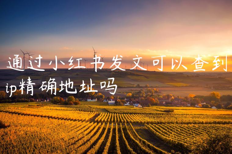 通过小红书发文可以查到ip精确地址吗 通过小红书发文可以查到ip精确地址吗