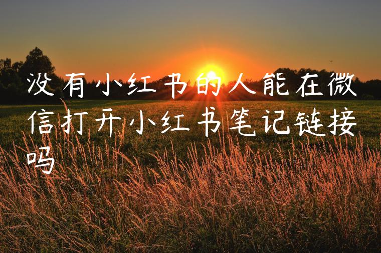 没有小红书的人能在微信打开小红书笔记链接吗 没有小红书的人能在微信打开小红书笔记链接吗