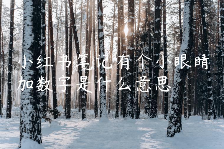 小红书笔记有个小眼睛加数字是什么意思 小红书笔记有个小眼睛加数字是什么意思