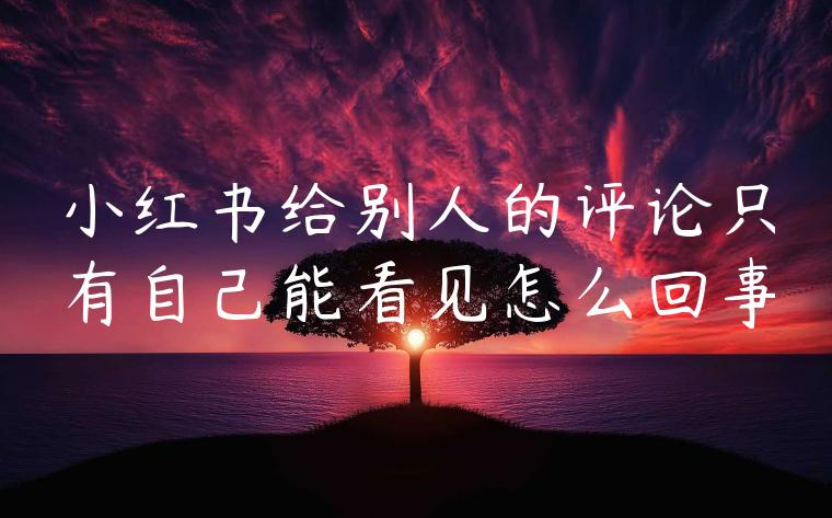小红书给别人的评论只有自己能看见怎么回事